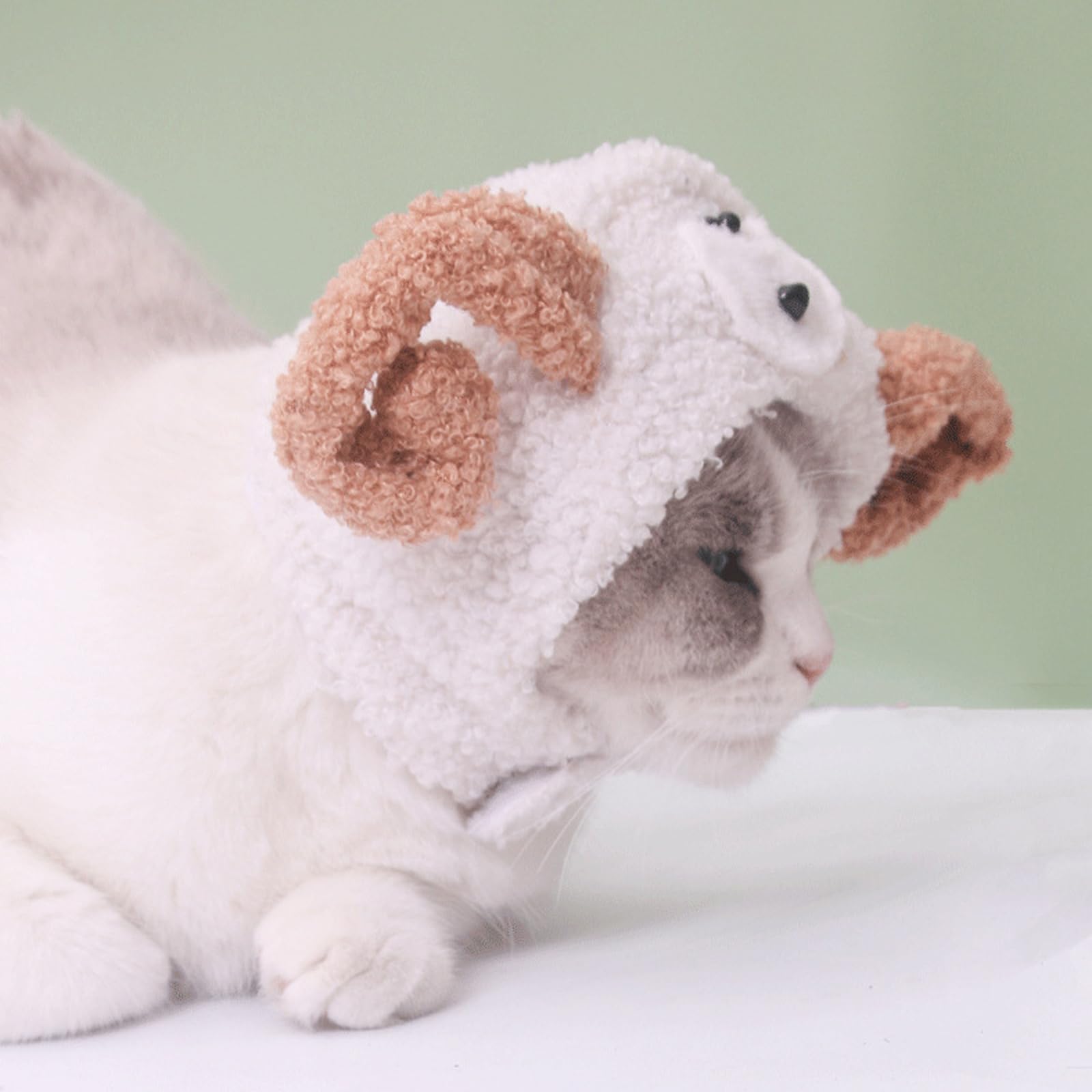 Amazon | SHUUMEEKA犬猫用コスプレ ペット用帽子 可愛い ヒツジに変身